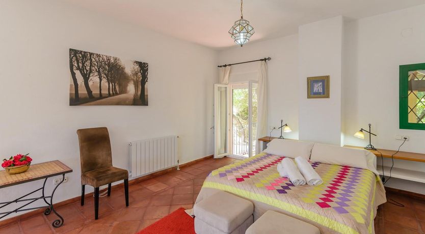 Photo of Wild Tulips