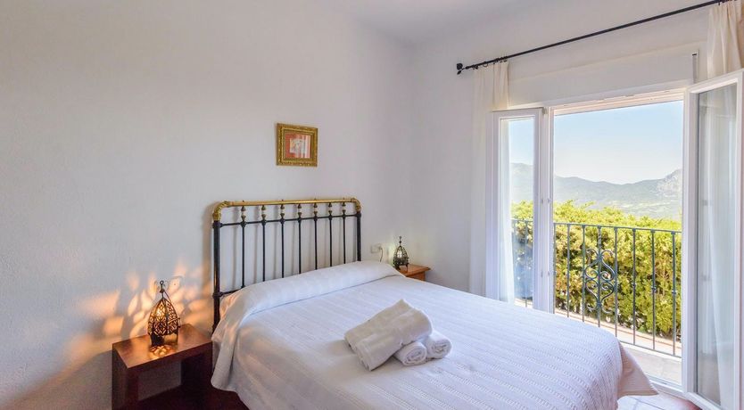 Photo of Wild Tulips