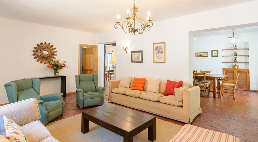 Photo of Wild Tulips