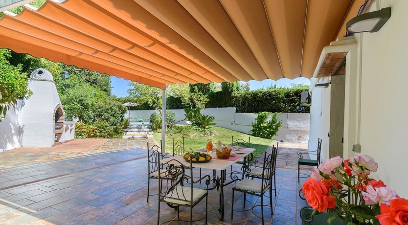 Photo of Wild Tulips