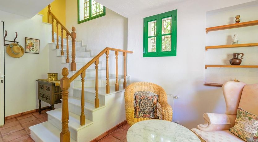 Photo of Wild Tulips