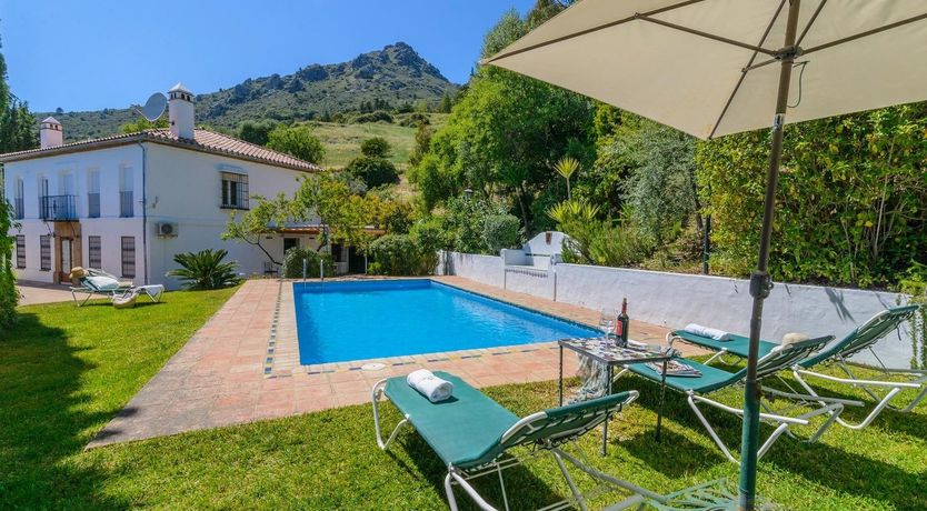 Photo of Wild Tulips