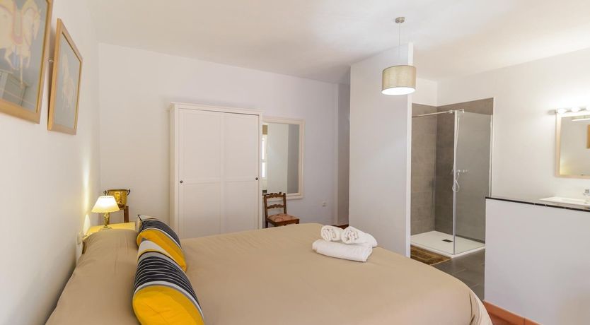 Photo of Wild Tulips