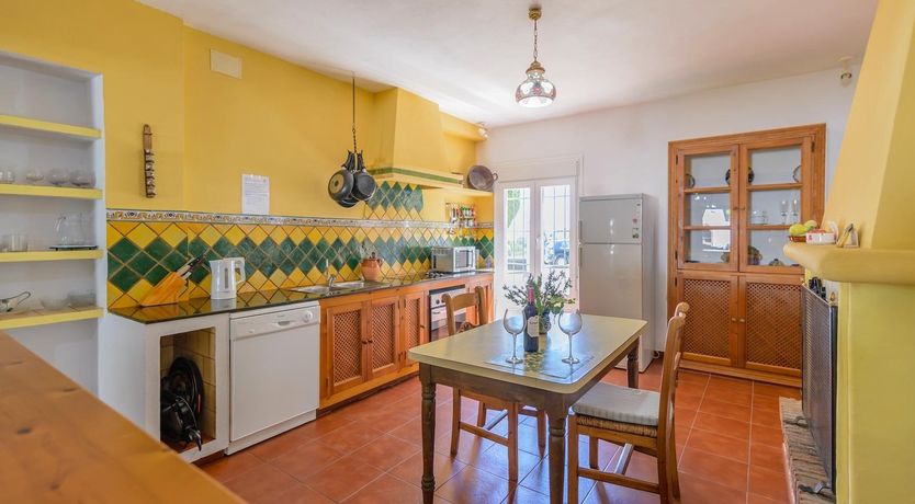 Photo of Wild Tulips