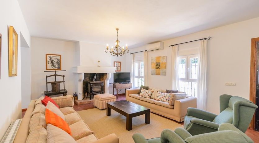 Photo of Wild Tulips