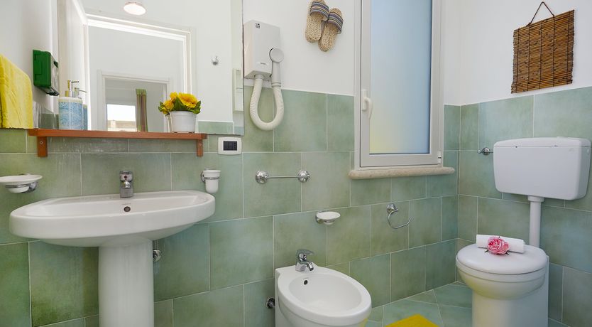 Photo of Olives by the Ocean