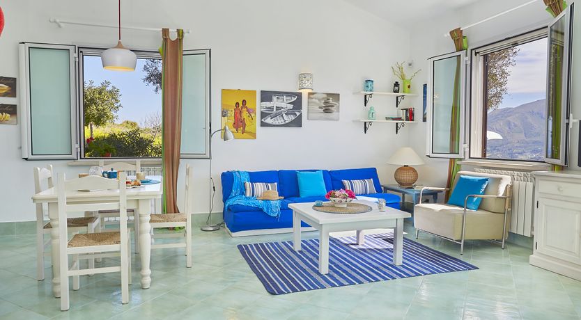 Photo of Olives by the Ocean