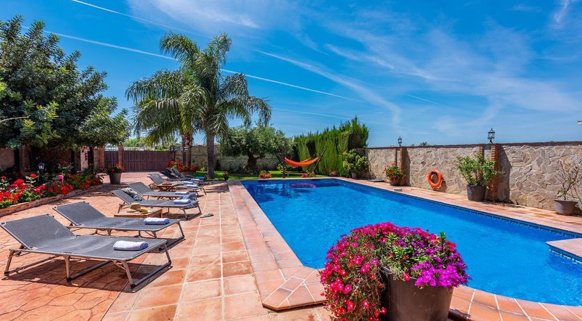 Photo of The Jade Butterfly