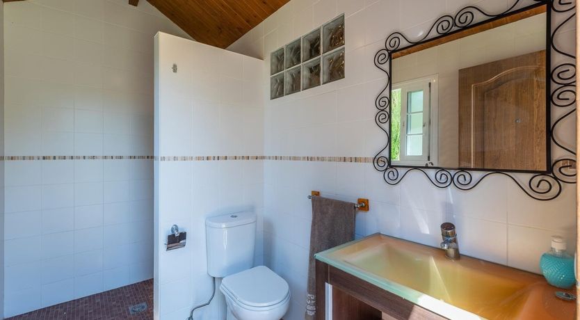 Photo of The Jade Butterfly