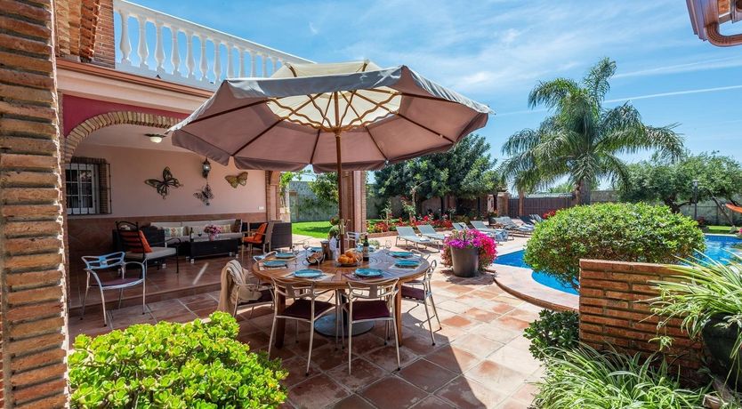 Photo of The Jade Butterfly