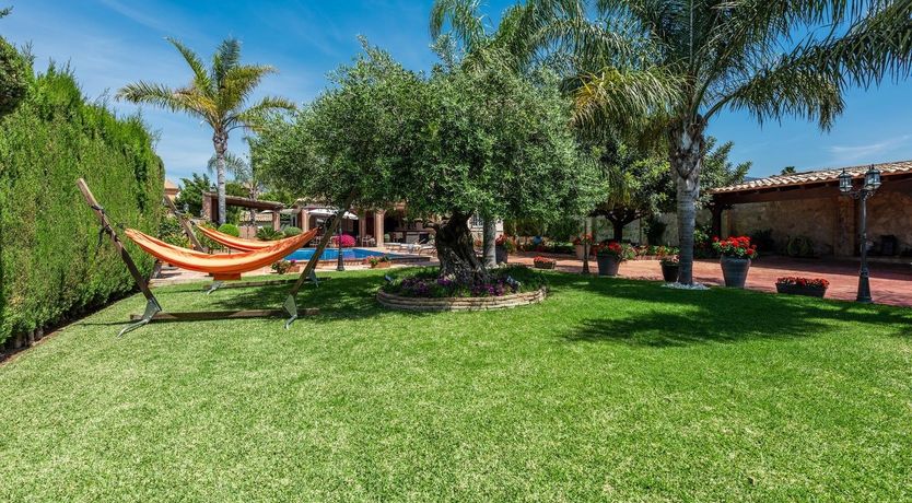 Photo of The Jade Butterfly