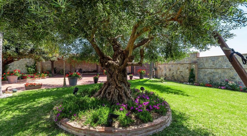 Photo of The Jade Butterfly