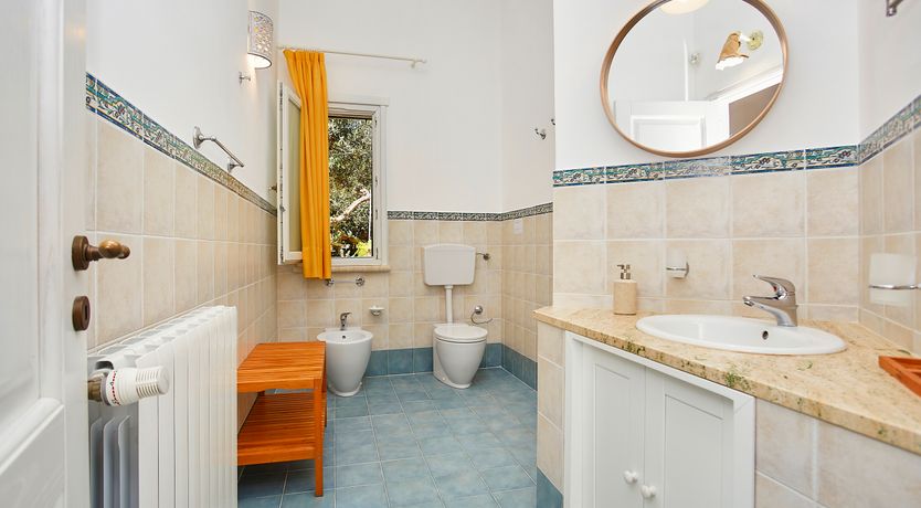 Photo of In Nature We Trust