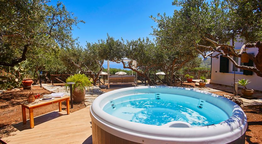 Photo of In Nature We Trust