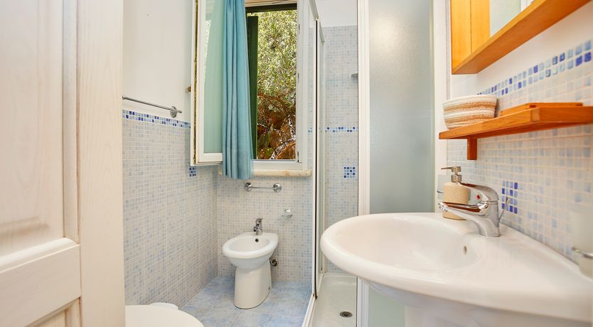 Photo of In Nature We Trust