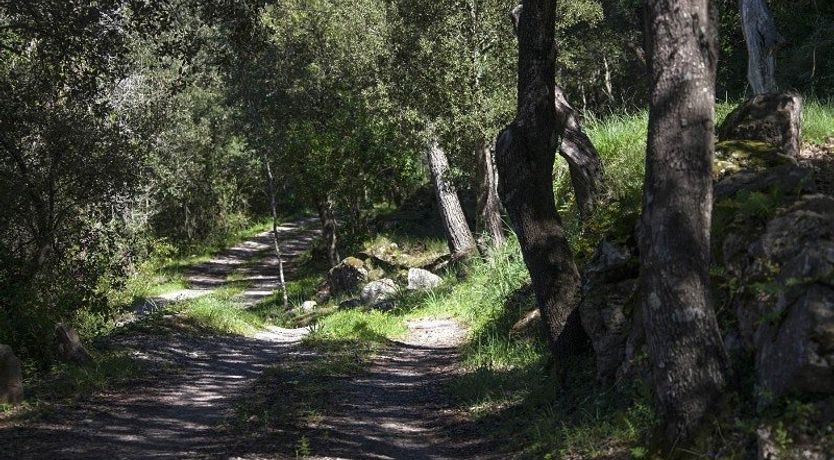 Photo of Nature’s Escape