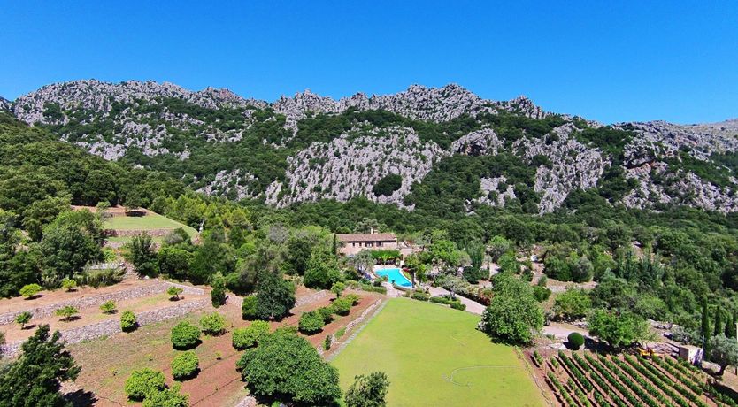 Photo of Meet Me in the Orange Grove