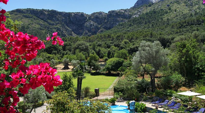 Photo of Meet Me in the Orange Grove