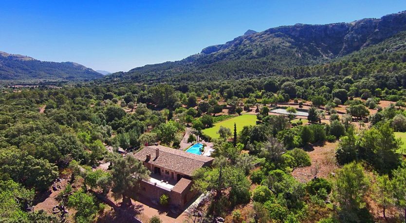 Photo of Meet Me in the Orange Grove