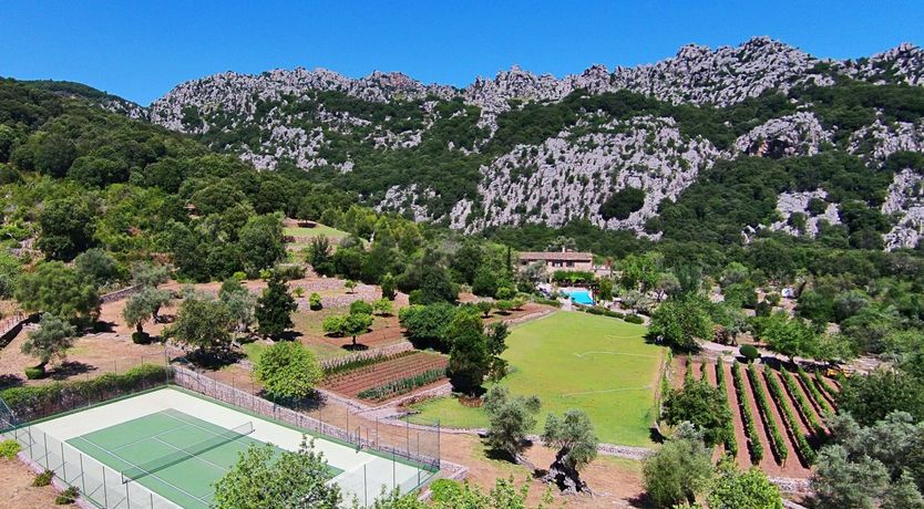 Photo of Meet Me in the Orange Grove