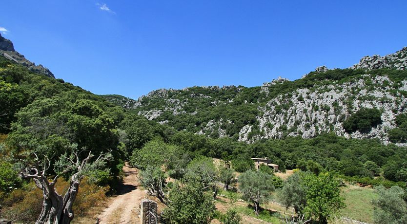 Photo of Meet Me in the Orange Grove