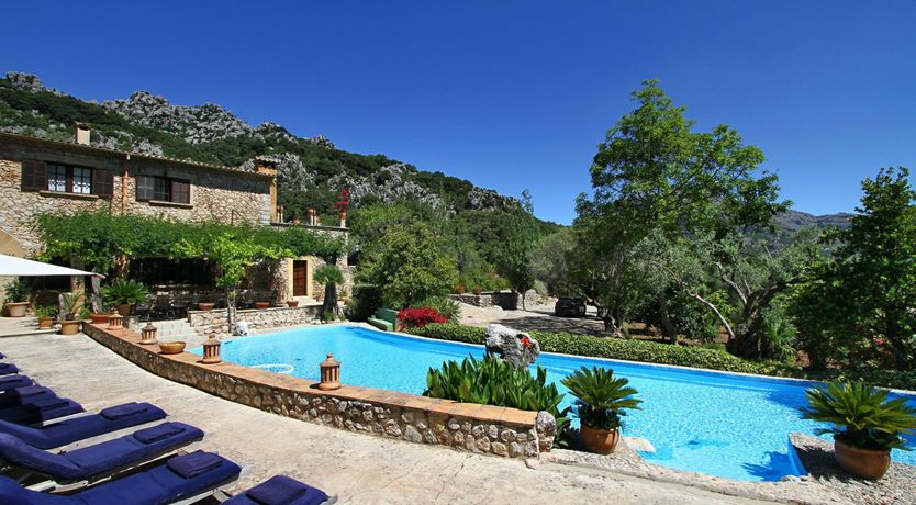 Photo of Meet Me in the Orange Grove