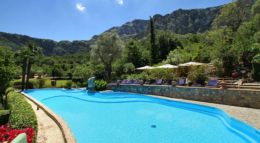 Photo of Meet Me in the Orange Grove