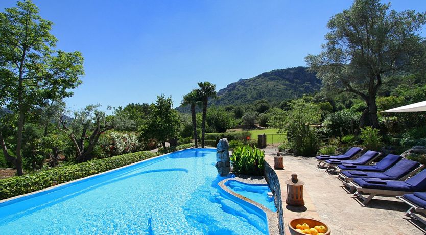 Photo of Meet Me in the Orange Grove