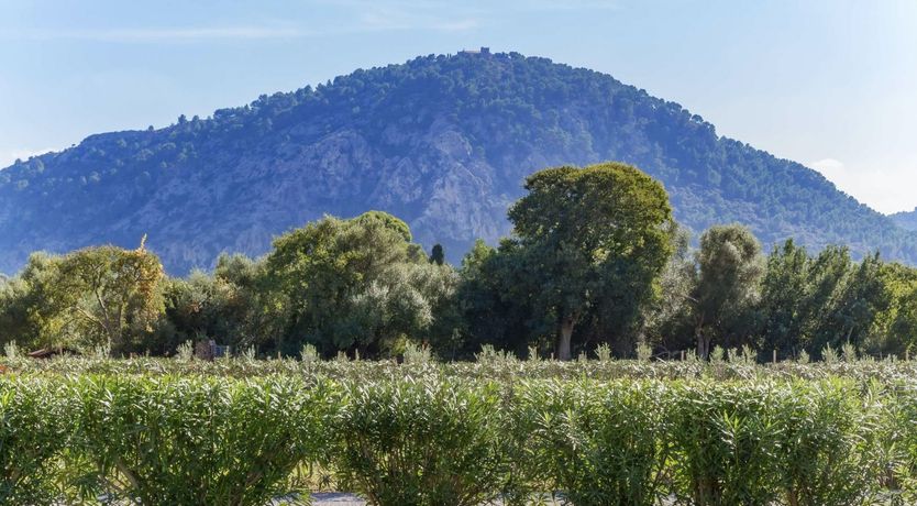 Photo of Awash With Tranquillity