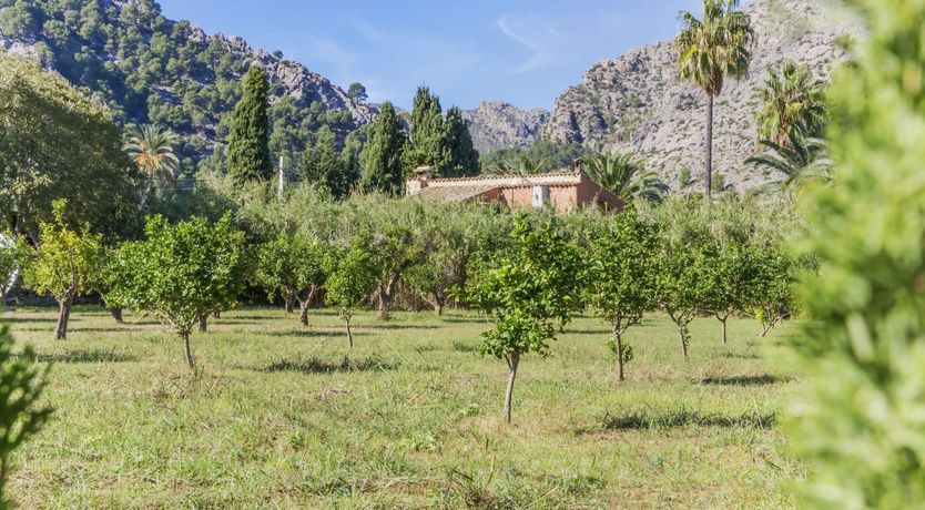 Photo of Awash With Tranquillity