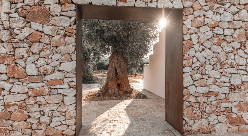 Photo of Terracotta & Lace