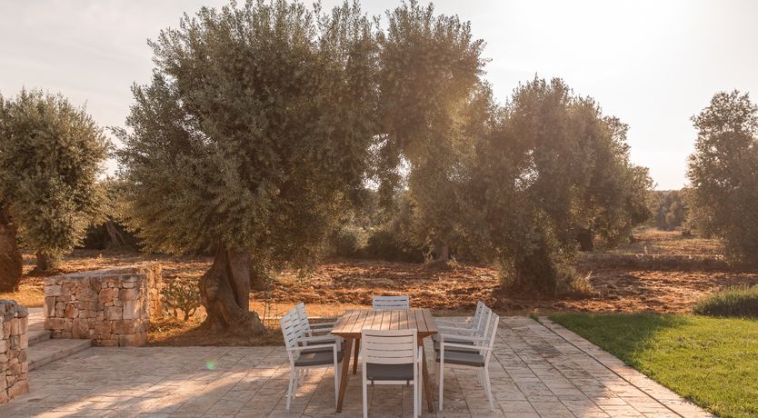 Photo of Terracotta & Lace