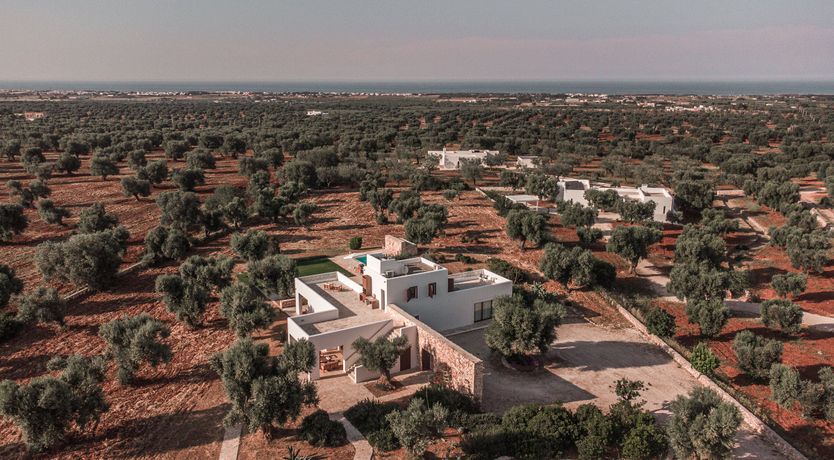 Photo of Terracotta & Lace