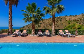 Photo of palm-trees-terracotta