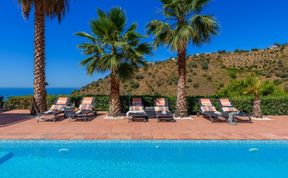 Photo of Palm Trees & Terracotta