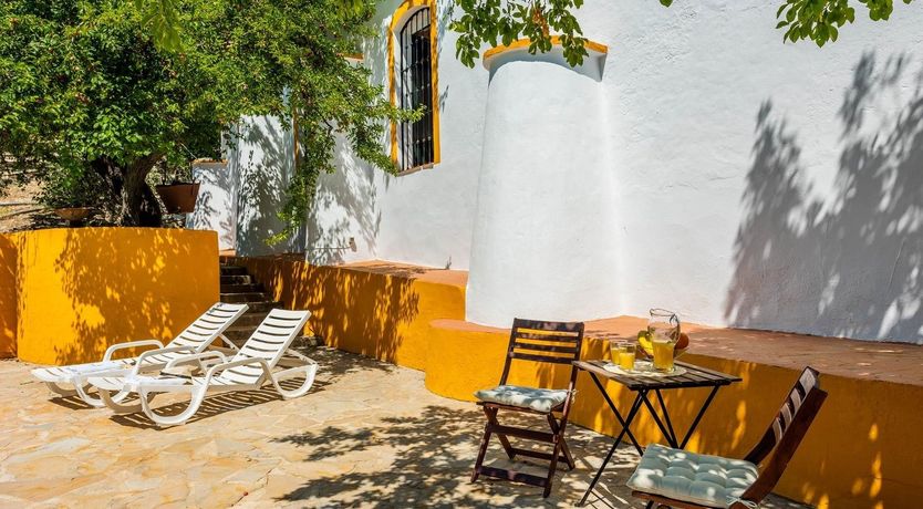 Photo of Freshly Squeezed Orange Juice