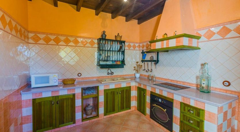 Photo of Freshly Squeezed Orange Juice