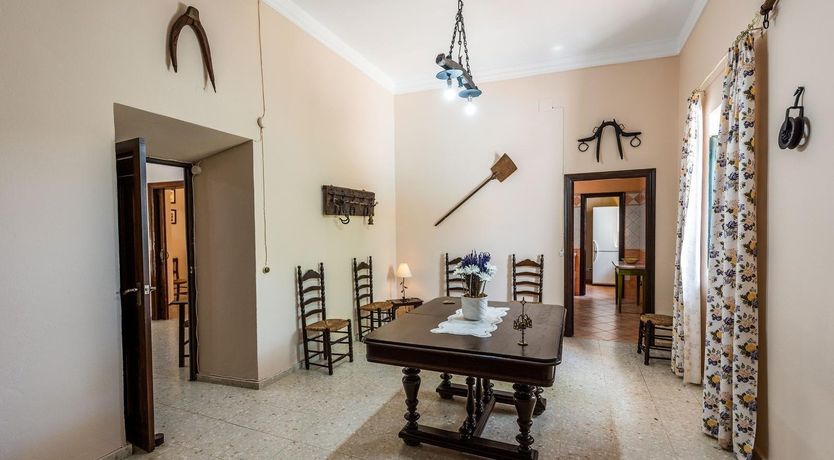 Photo of Freshly Squeezed Orange Juice