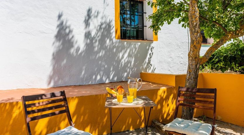 Photo of Freshly Squeezed Orange Juice