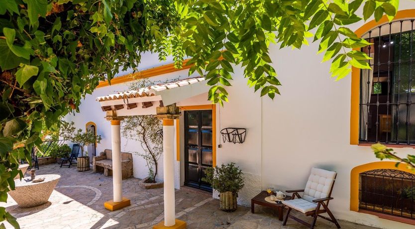 Photo of Freshly Squeezed Orange Juice