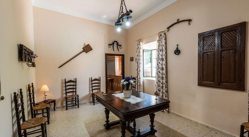 Photo of Freshly Squeezed Orange Juice