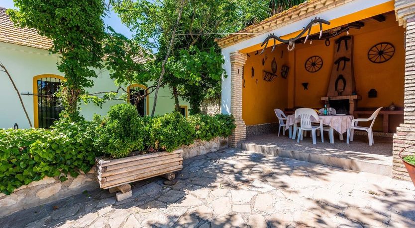 Photo of Freshly Squeezed Orange Juice