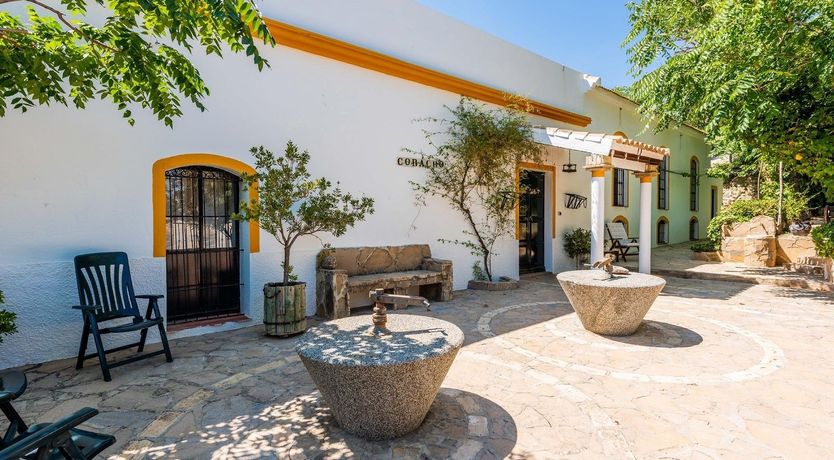 Photo of Freshly Squeezed Orange Juice