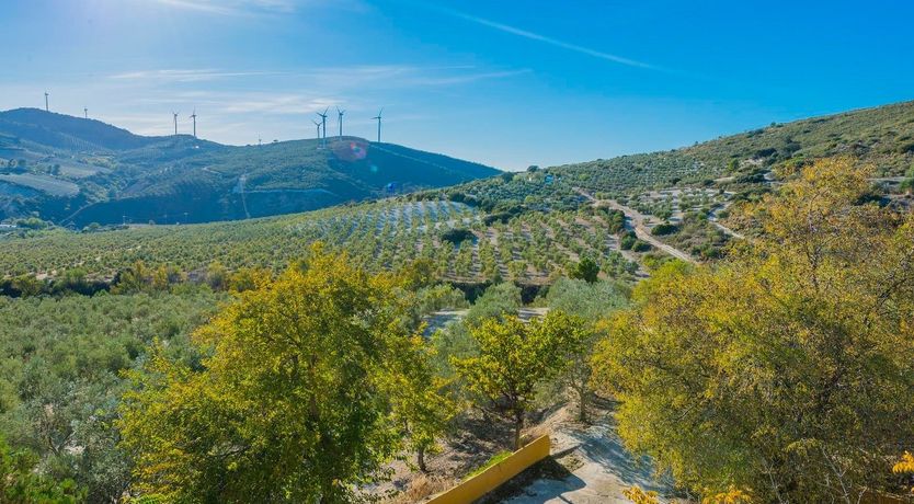 Photo of Freshly Squeezed Orange Juice