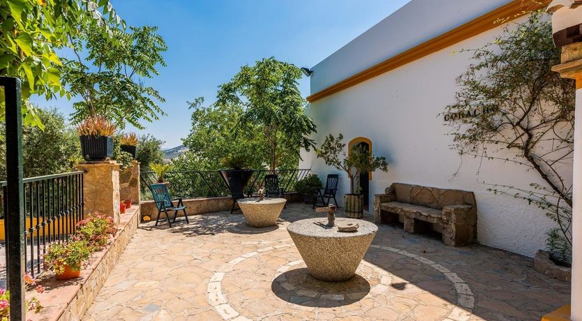 Photo of Freshly Squeezed Orange Juice