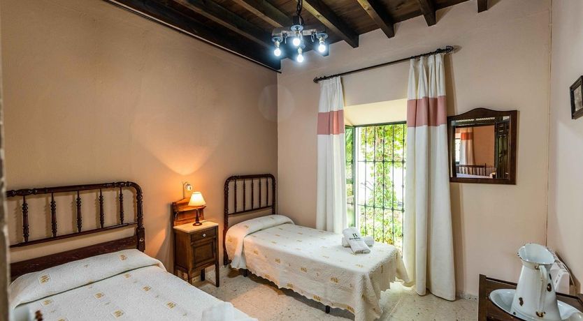 Photo of Freshly Squeezed Orange Juice