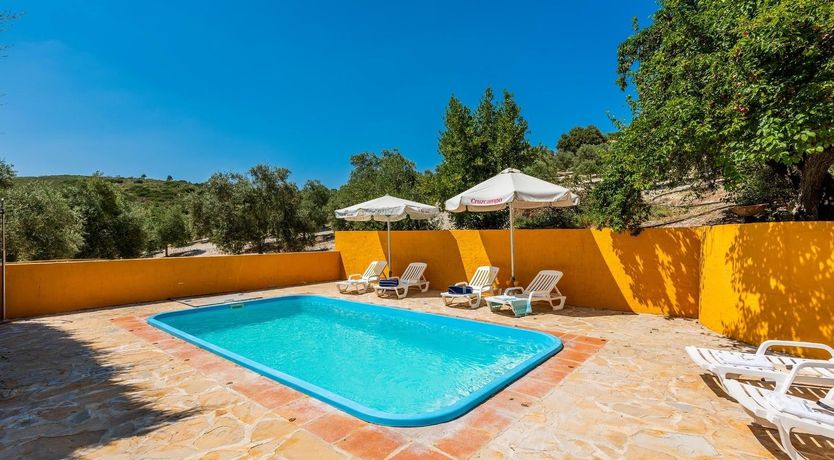 Photo of Freshly Squeezed Orange Juice