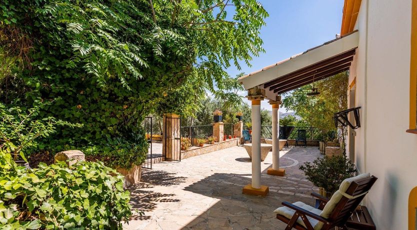 Photo of Freshly Squeezed Orange Juice