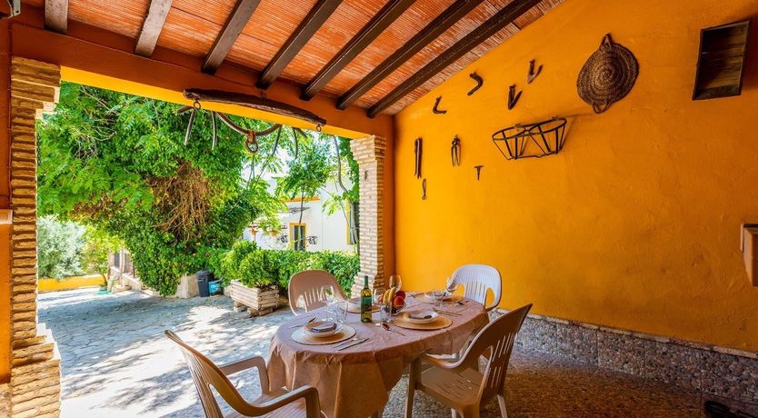Photo of Freshly Squeezed Orange Juice