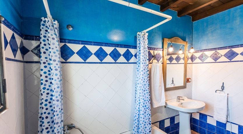 Photo of Freshly Squeezed Orange Juice